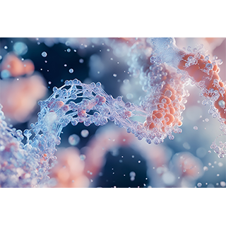 蛋白質(zhì)組學(xué)